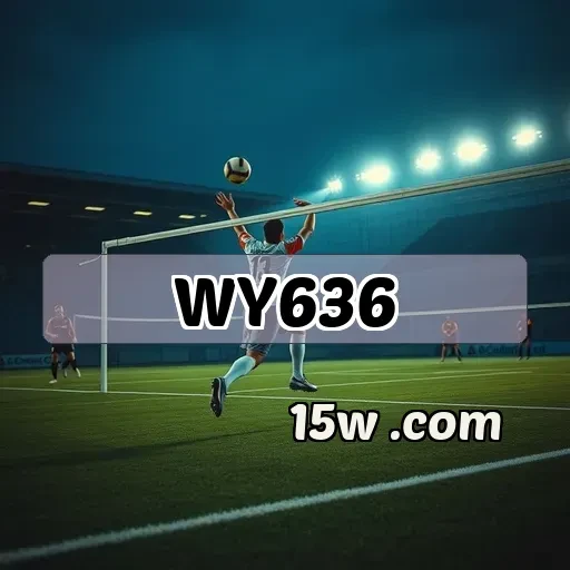 wy636.com Aventura